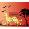 Cheetah5499