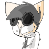GIR_friend