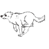 WolfFerret
