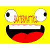 skatermattx11