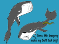 What are the whales singing?