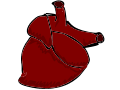 beating heart