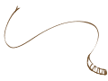 Whip WIP