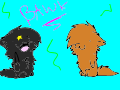 BAWK