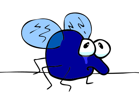 My fly is down.